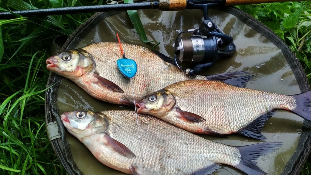 Матчевая удочка  самая универсальная снасть (1).jpg